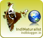 IndiBlogger - The Indian Blogger Community