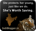 IndiBlogger - The Indian Blogger Community