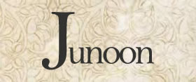 The Junoon IndiBlogger Meet at NYC